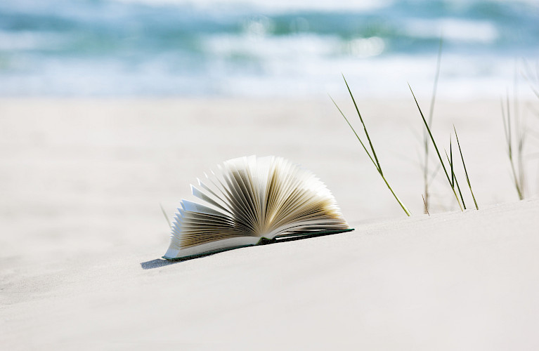 FIDUA by Nadine Hellmold, Kontakt