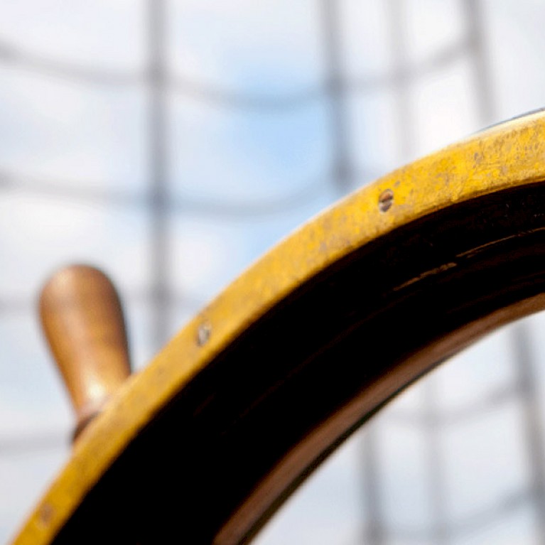 Co-Check, Unternehmensentwicklung