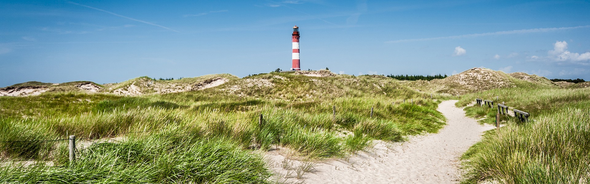 Co-Check, Kompetenzanalyse