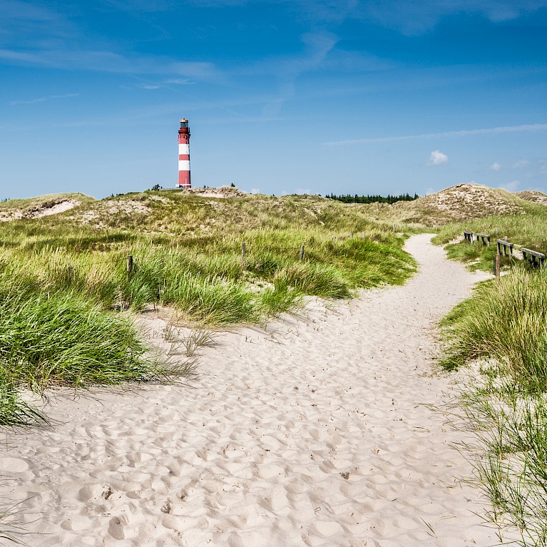 Co-Check, Kompetenzanalyse