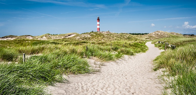 Co-Check, Kompetenzanalyse